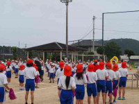 pict-P5233505