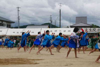pict-P1220135