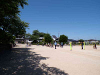 pict-110_1117