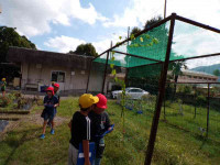 pict-111_1186