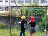 pict-111_1193