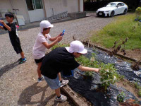 pict-111_1194