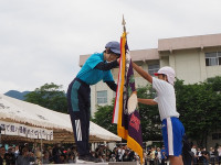 P5311382