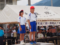 P5311391