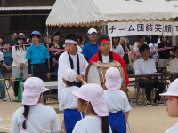 P5311394