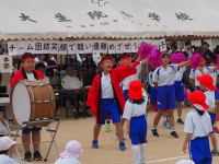 P5311402