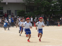 P5311611