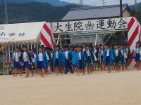 P5311622
