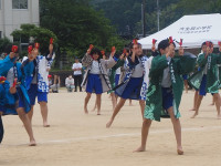 P5311632