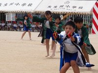 P5311655