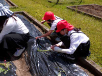 pict-110_0422