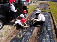 pict-110_0419