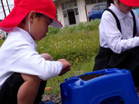 pict-110_0495