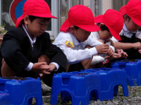 pict-110_0499