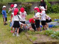 pict-110_0892