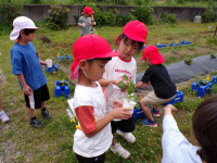 pict-110_0895