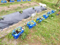 pict-110_0908