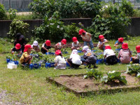 pict-111_0119