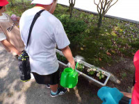 pict-111_0543