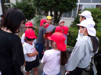 pict-111_0546
