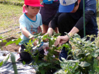pict-111_0622