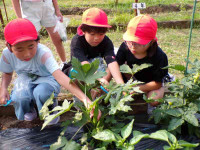 pict-111_0615
