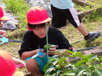 pict-111_0608
