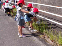 pict-111_0432