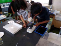 pict-111_0710