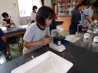 pict-111_0718