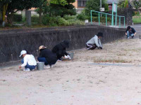 pict-111_1110