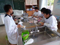 pict-111_1481