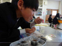 pict-DSC04212