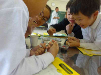 pict-DSC04207